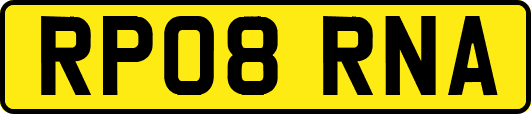 RP08RNA