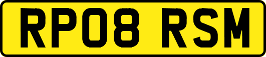 RP08RSM