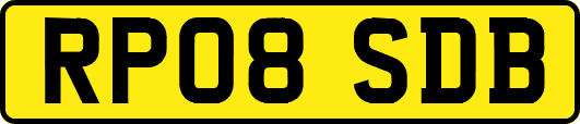 RP08SDB