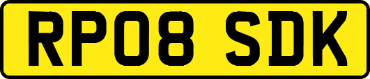 RP08SDK