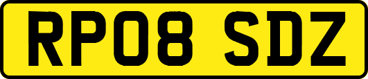 RP08SDZ