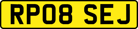 RP08SEJ