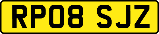 RP08SJZ