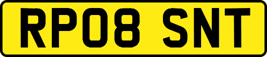 RP08SNT