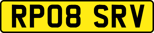 RP08SRV