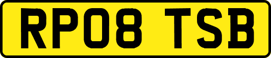 RP08TSB