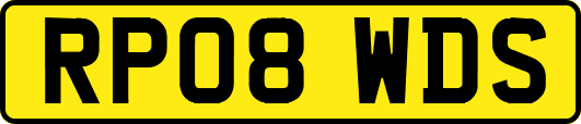 RP08WDS