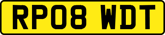 RP08WDT