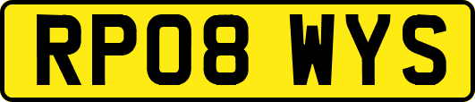 RP08WYS