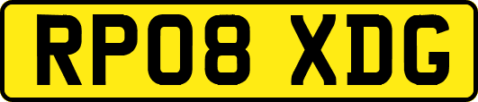 RP08XDG