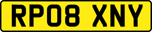 RP08XNY