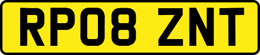 RP08ZNT
