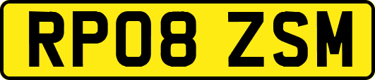 RP08ZSM