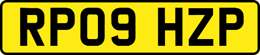 RP09HZP