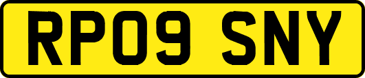 RP09SNY