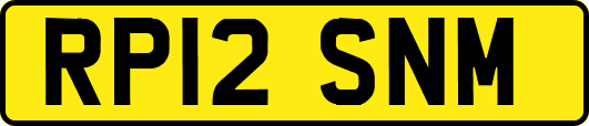 RP12SNM