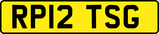 RP12TSG