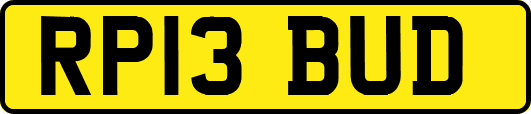 RP13BUD