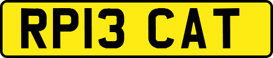 RP13CAT