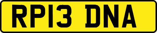 RP13DNA