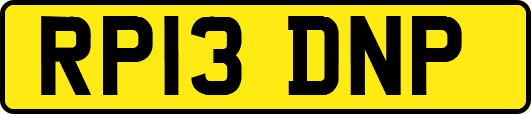 RP13DNP