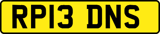 RP13DNS