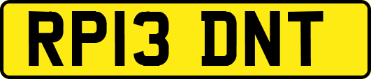 RP13DNT