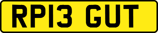 RP13GUT