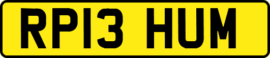 RP13HUM