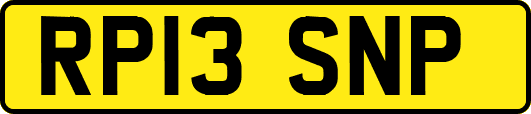 RP13SNP