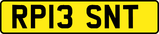 RP13SNT
