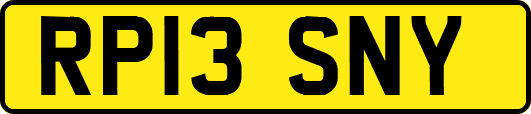 RP13SNY