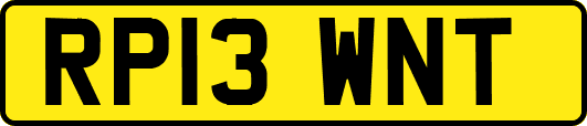 RP13WNT