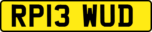 RP13WUD