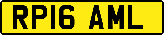 RP16AML