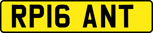 RP16ANT