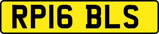 RP16BLS