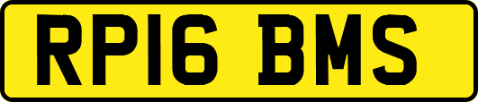 RP16BMS