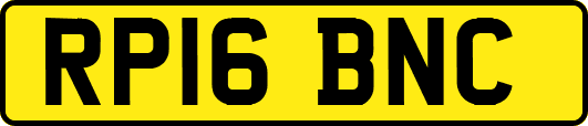 RP16BNC