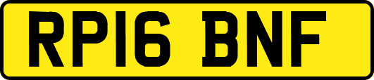 RP16BNF