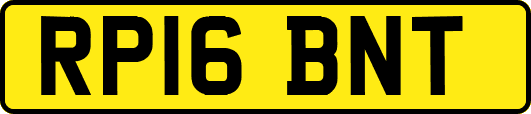 RP16BNT