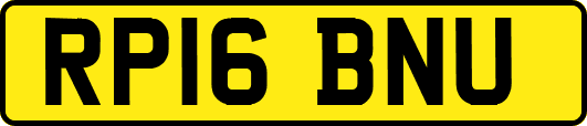 RP16BNU