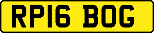 RP16BOG