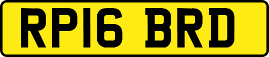 RP16BRD