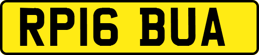 RP16BUA