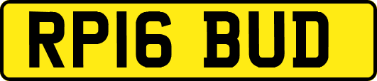 RP16BUD