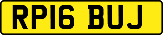 RP16BUJ