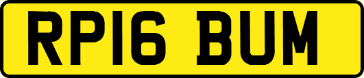 RP16BUM