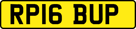 RP16BUP