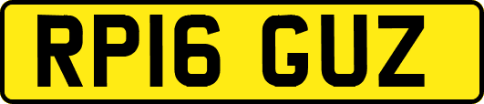 RP16GUZ